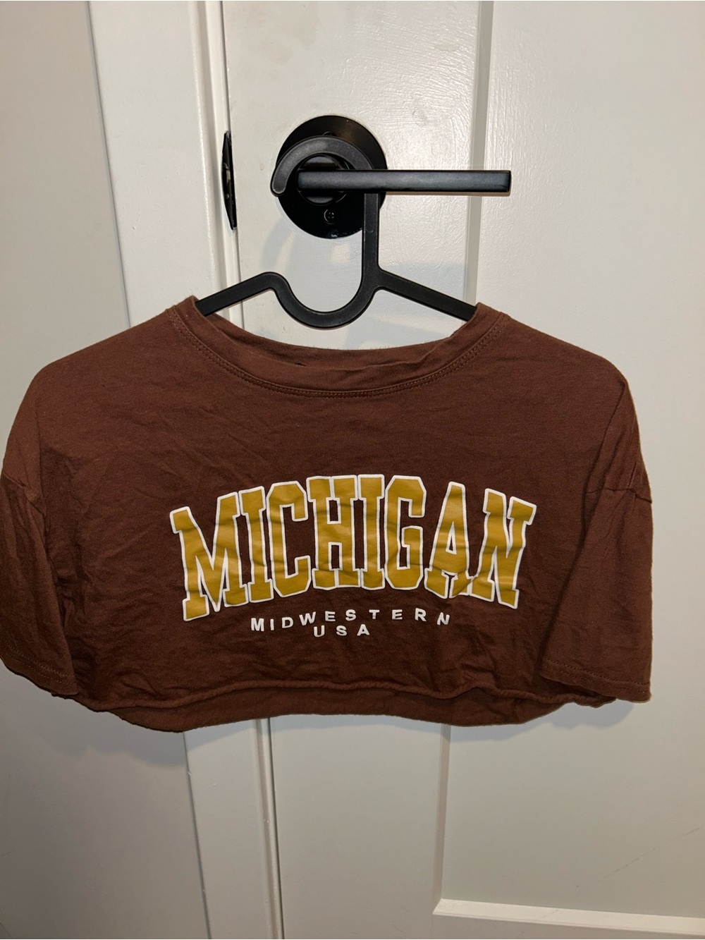 Michigan Graphic Crop Tee - Brown and Gold
